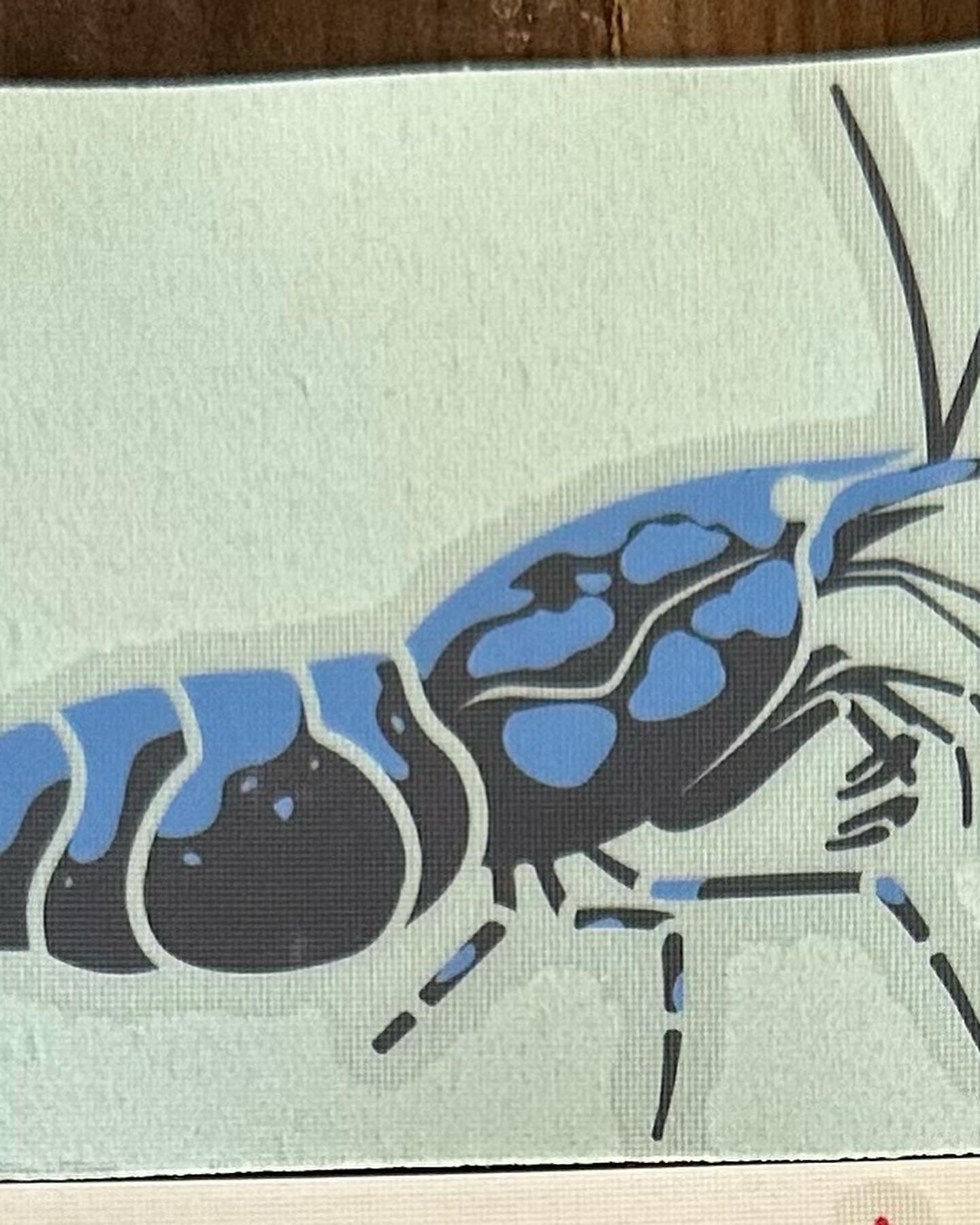Shrimp Decal Sticker- BARCK Aquatics Neocaridina Caridina Cherry Shrimp