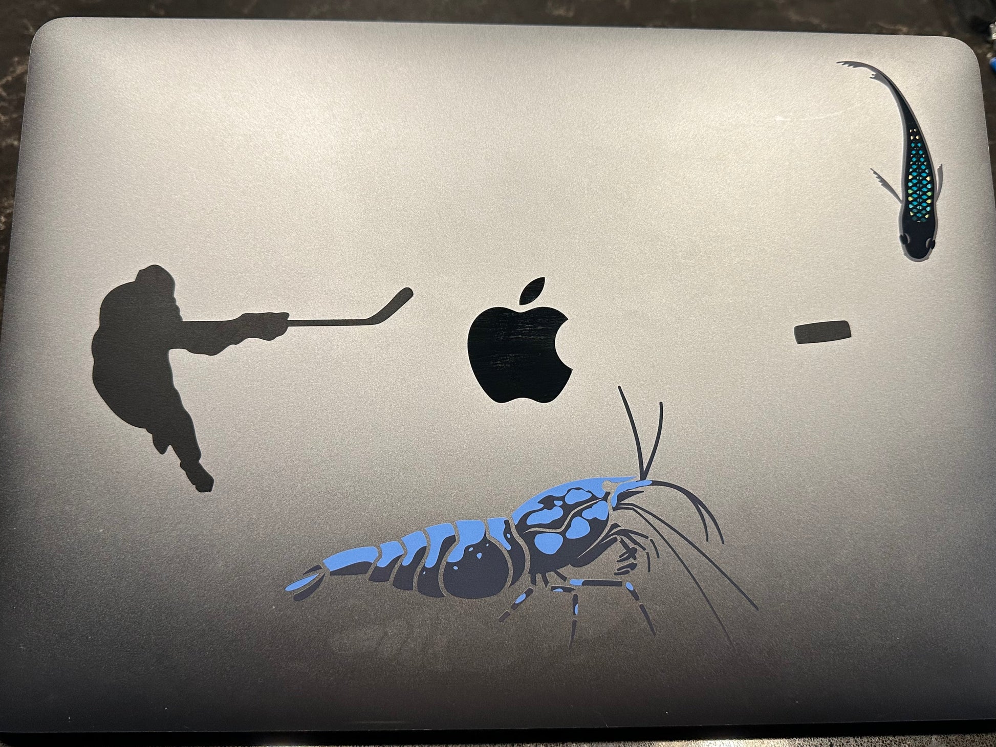 Shrimp Decal Sticker- BARCK Aquatics Neocaridina Caridina Cherry Shrimp