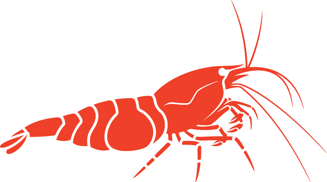 Shrimp Decal Sticker- BARCK Aquatics Neocaridina Caridina Cherry Shrimp