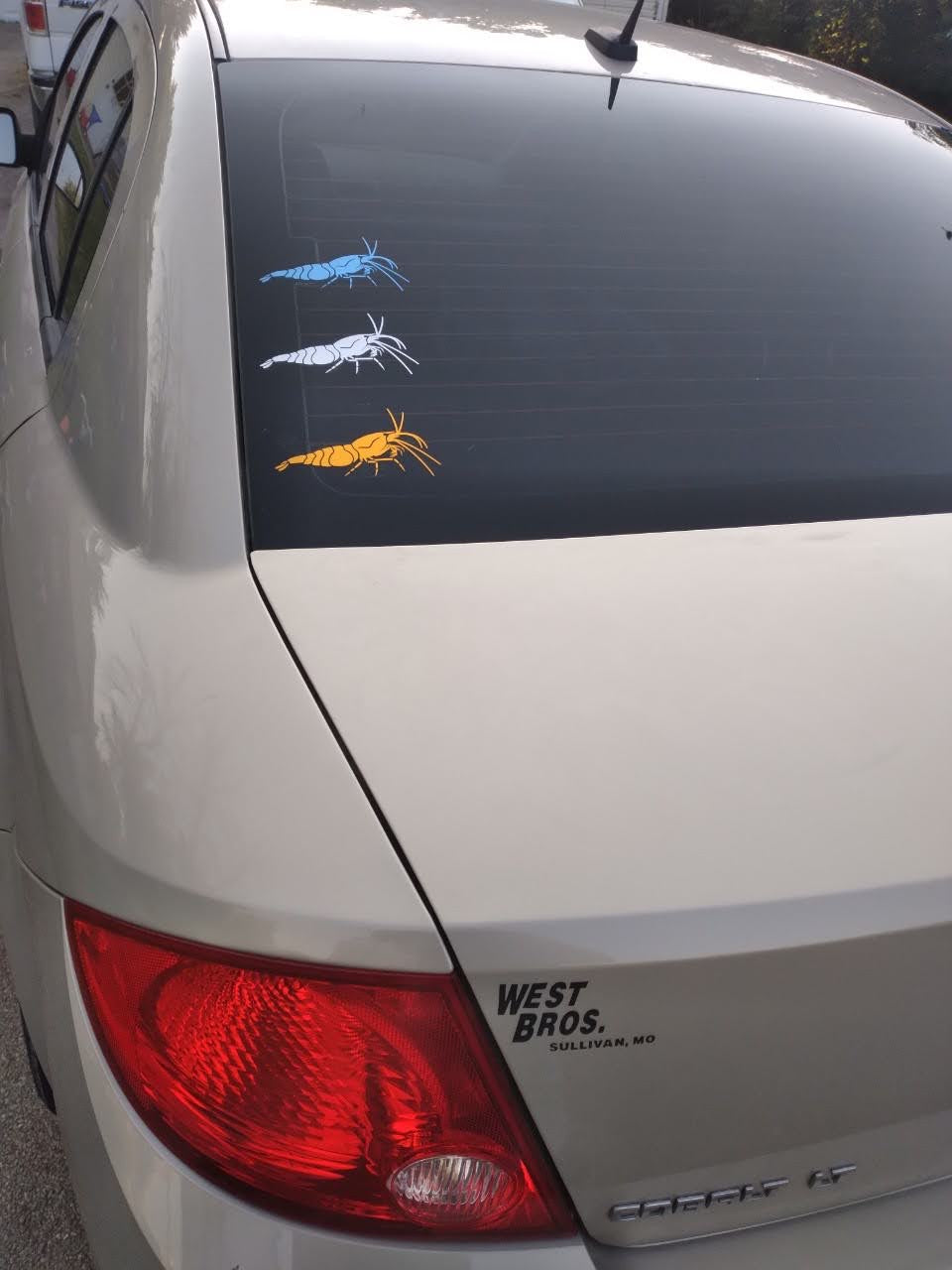 Shrimp Decal Sticker- BARCK Aquatics Neocaridina Caridina Cherry Shrimp