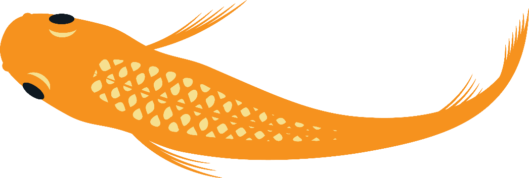 Medaka Japanese Rice Fish Transfer Decal Sticker- BARCK Aquatics