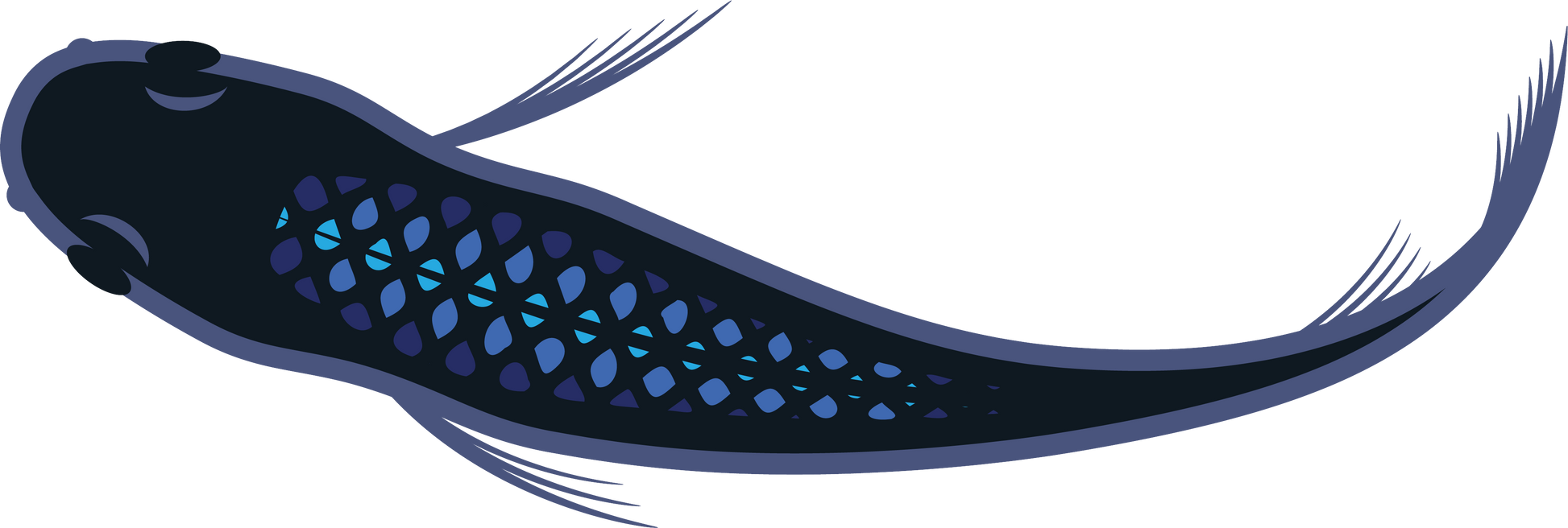 Medaka Japanese Rice Fish Transfer Decal Sticker- BARCK Aquatics