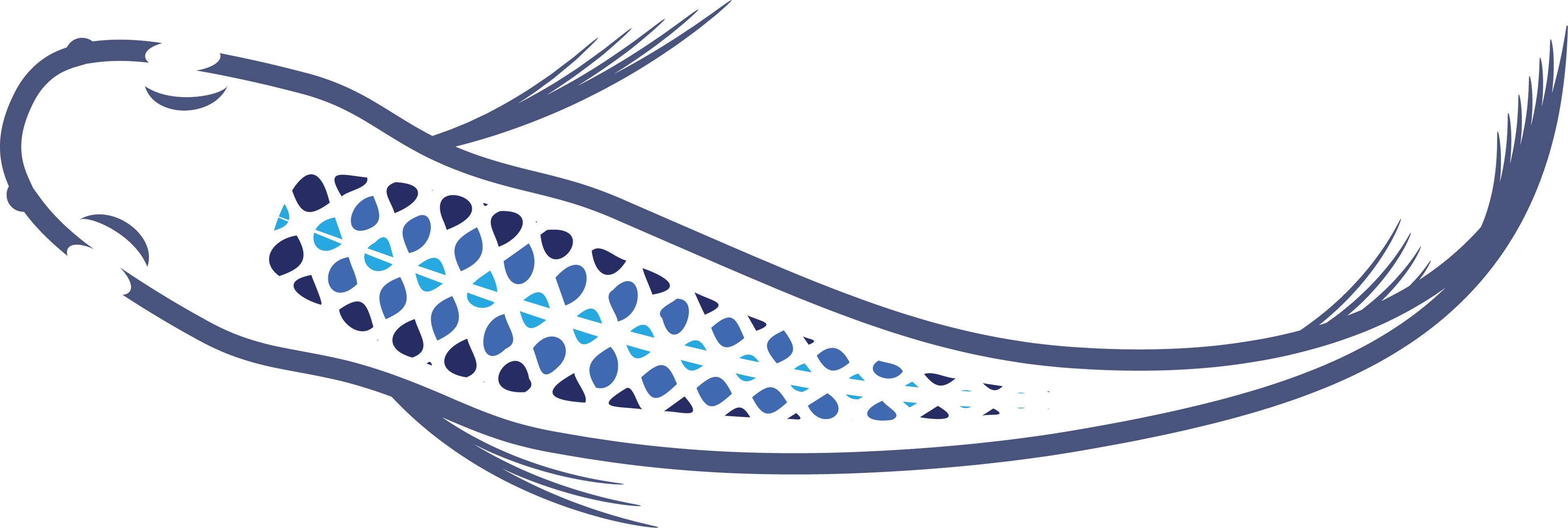 Medaka Japanese Rice Fish Transfer Decal Sticker- BARCK Aquatics