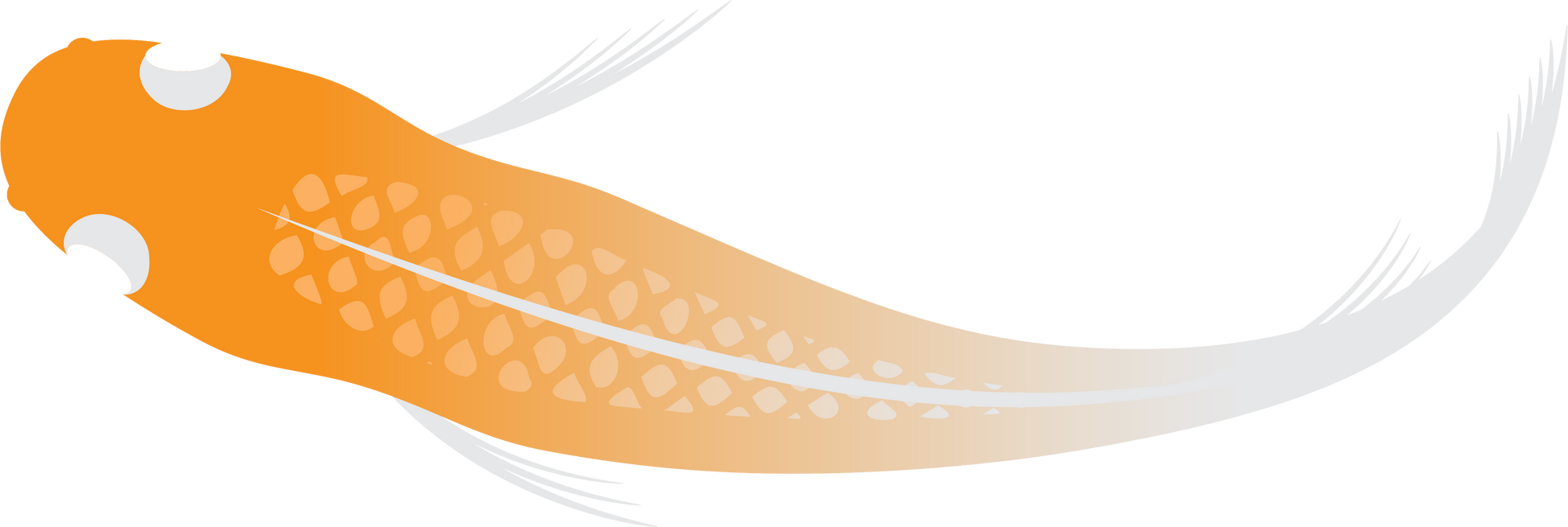 Medaka Japanese Rice Fish Transfer Decal Sticker- BARCK Aquatics