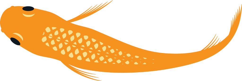 Medaka Japanese Rice Fish Transfer Decal Sticker- BARCK Aquatics